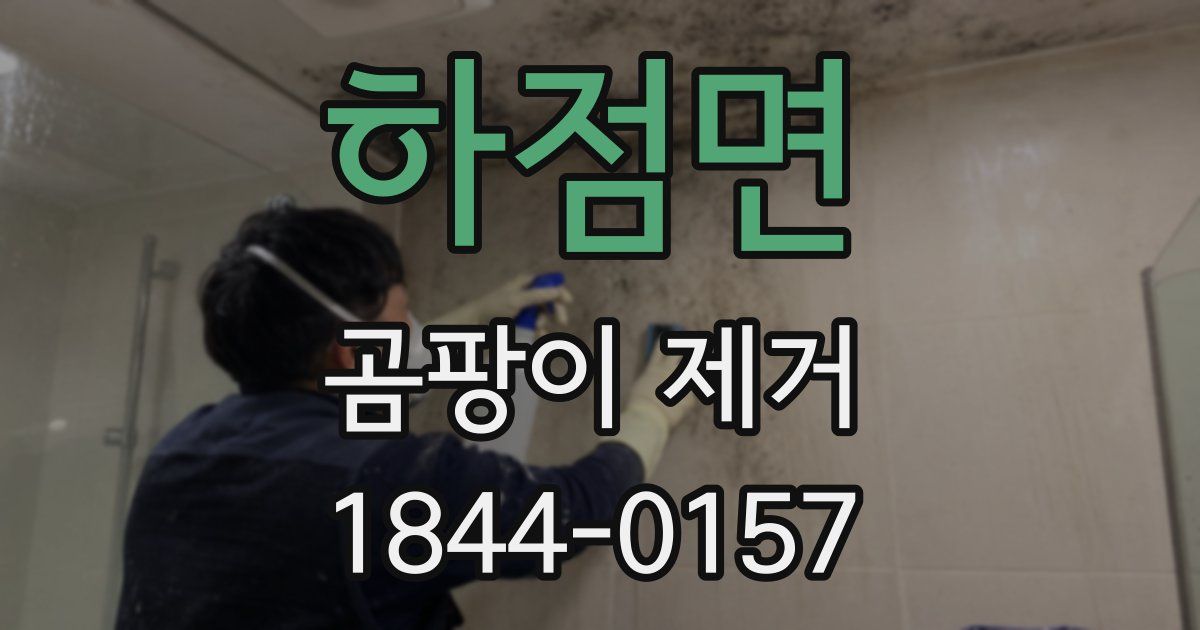 하점면 곰팡이 제거