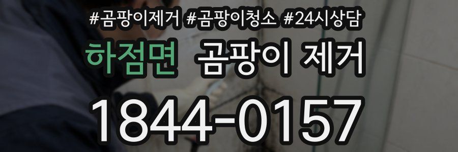 하점면 곰팡이 제거