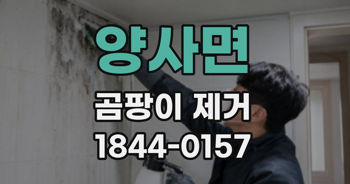 양사면 곰팡이 제거