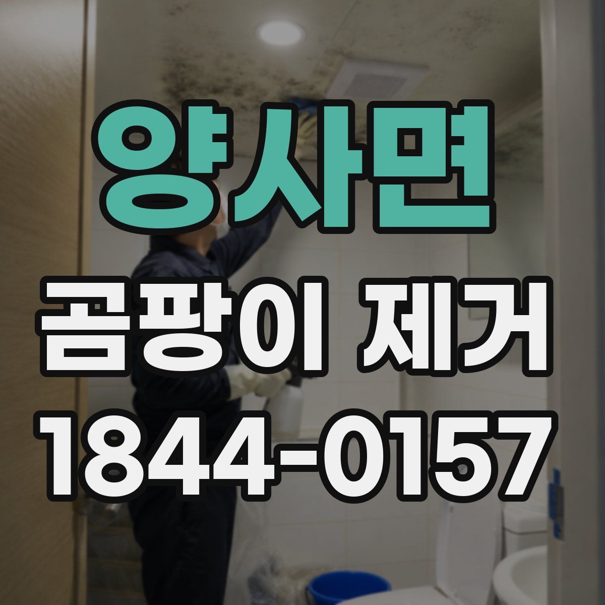 양사면 곰팡이 제거