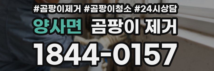 양사면 곰팡이 제거
