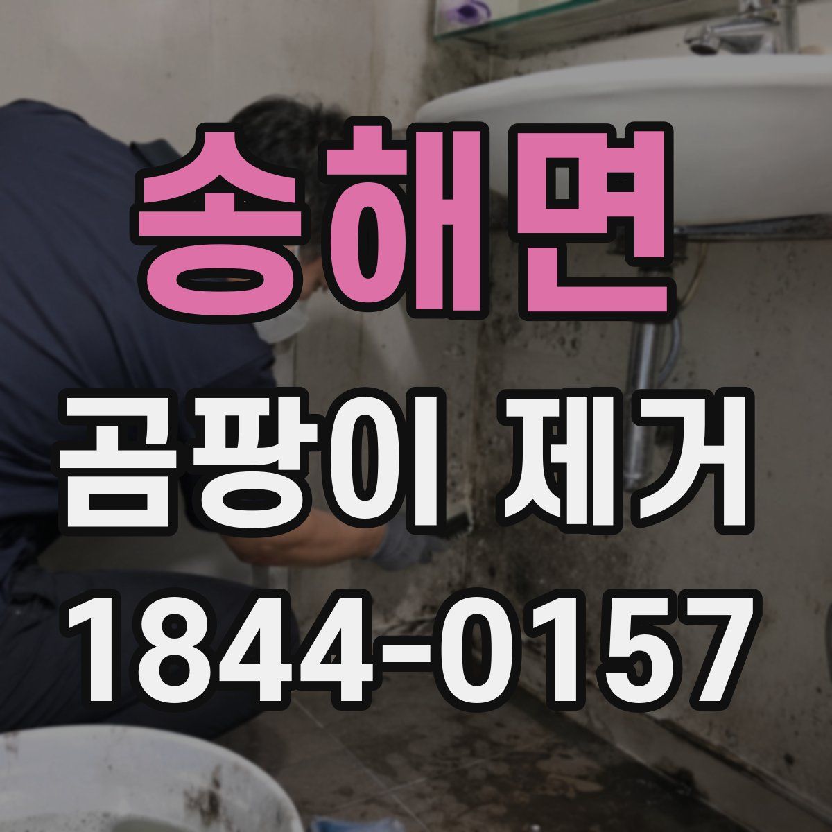 송해면 곰팡이 제거