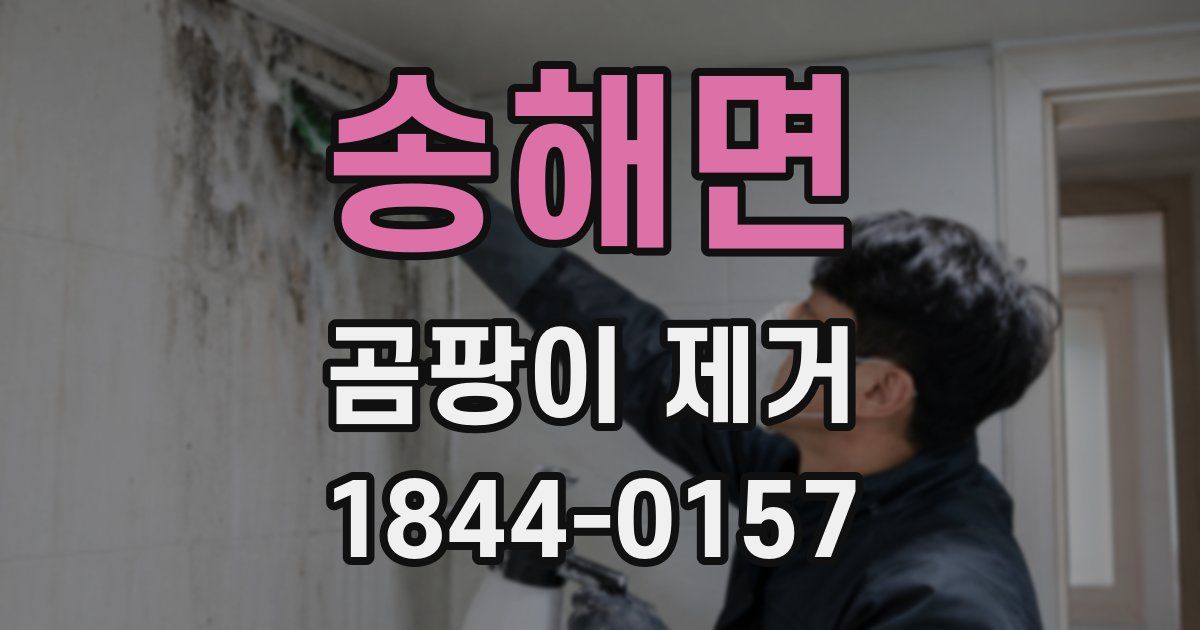 송해면 곰팡이 제거