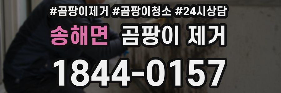 송해면 곰팡이 제거
