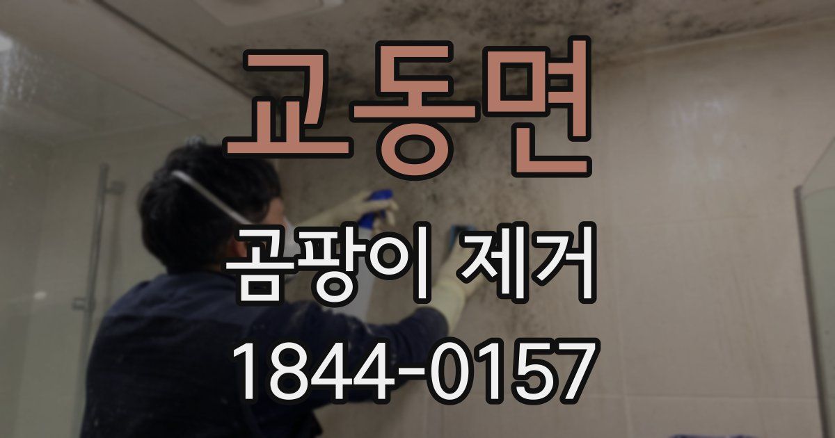 교동면 곰팡이 제거