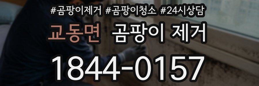 교동면 곰팡이 제거