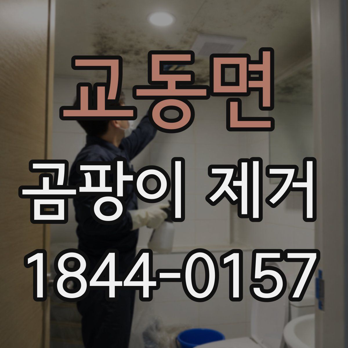 교동면 곰팡이 제거