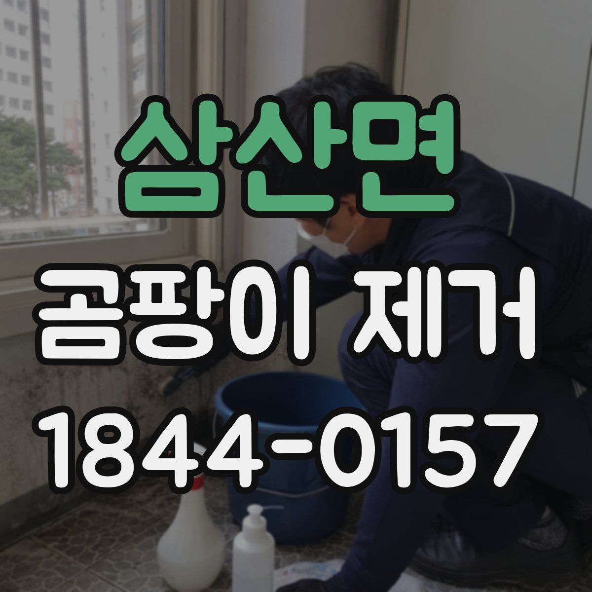 삼산면 곰팡이 제거