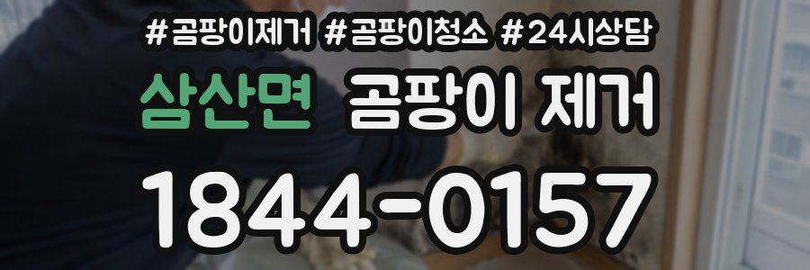 삼산면 곰팡이 제거