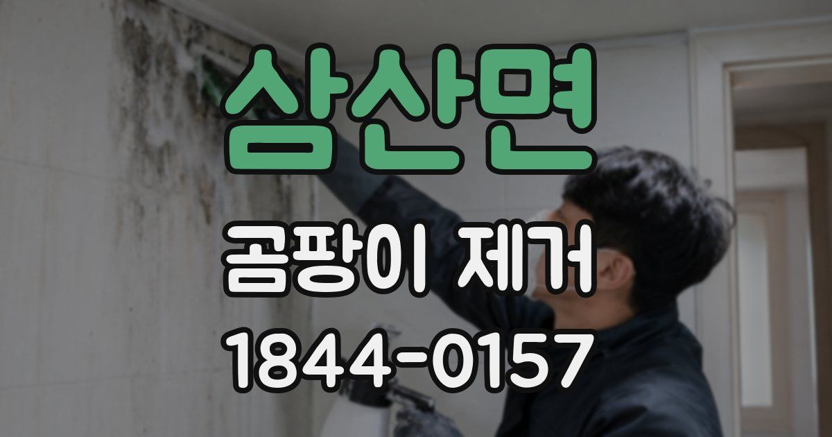삼산면 곰팡이 제거