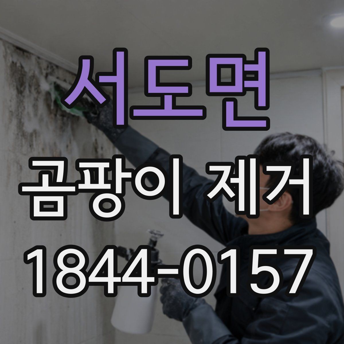 서도면 곰팡이 제거 벽지와 실리콘 상태에 따른 대처법