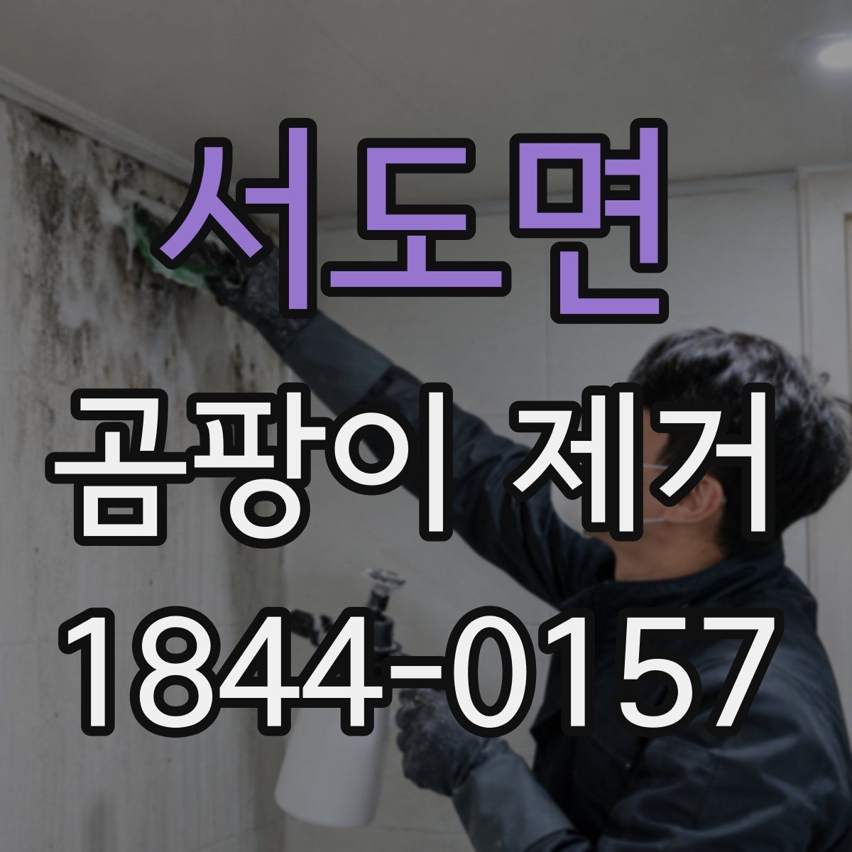 서도면 곰팡이 제거