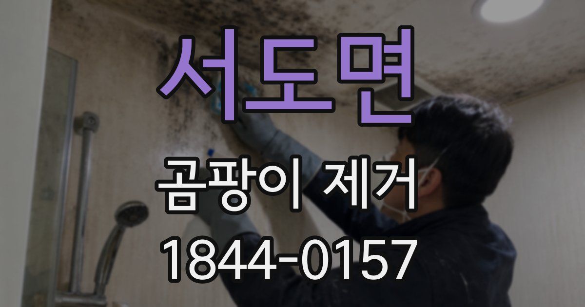 서도면 곰팡이 제거