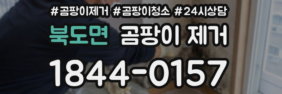 북도면 곰팡이 제거