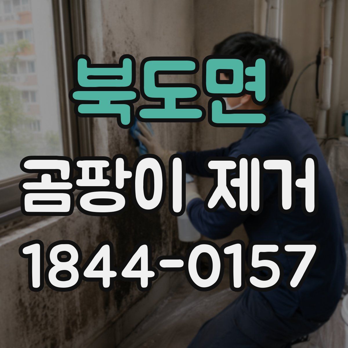북도면 곰팡이 제거