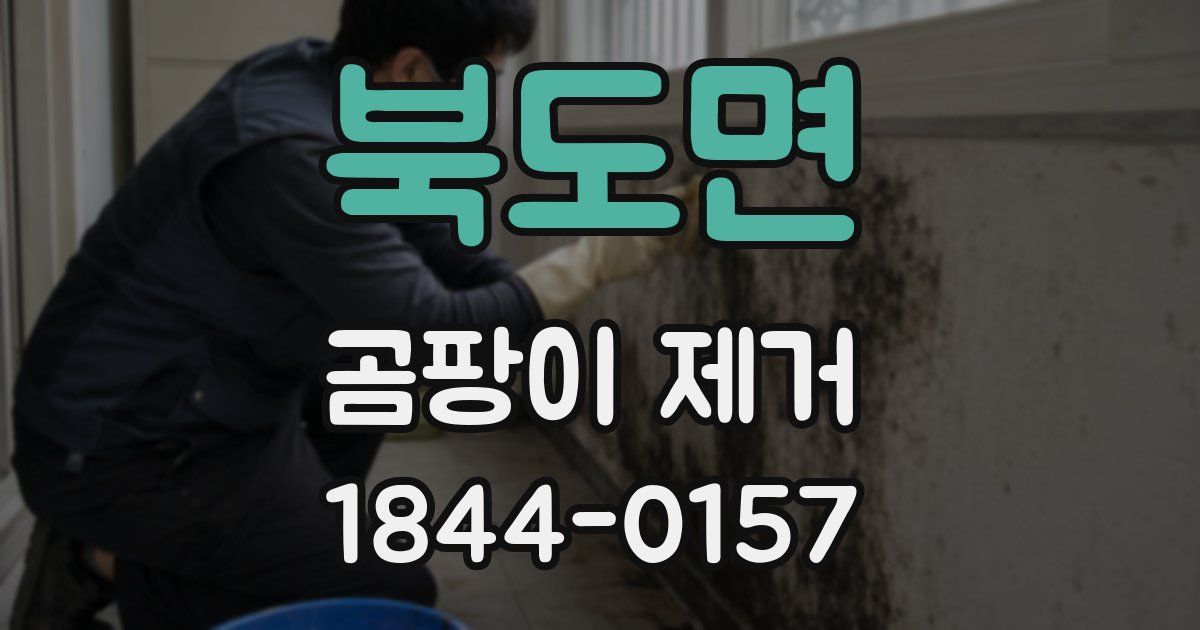 북도면 곰팡이 제거