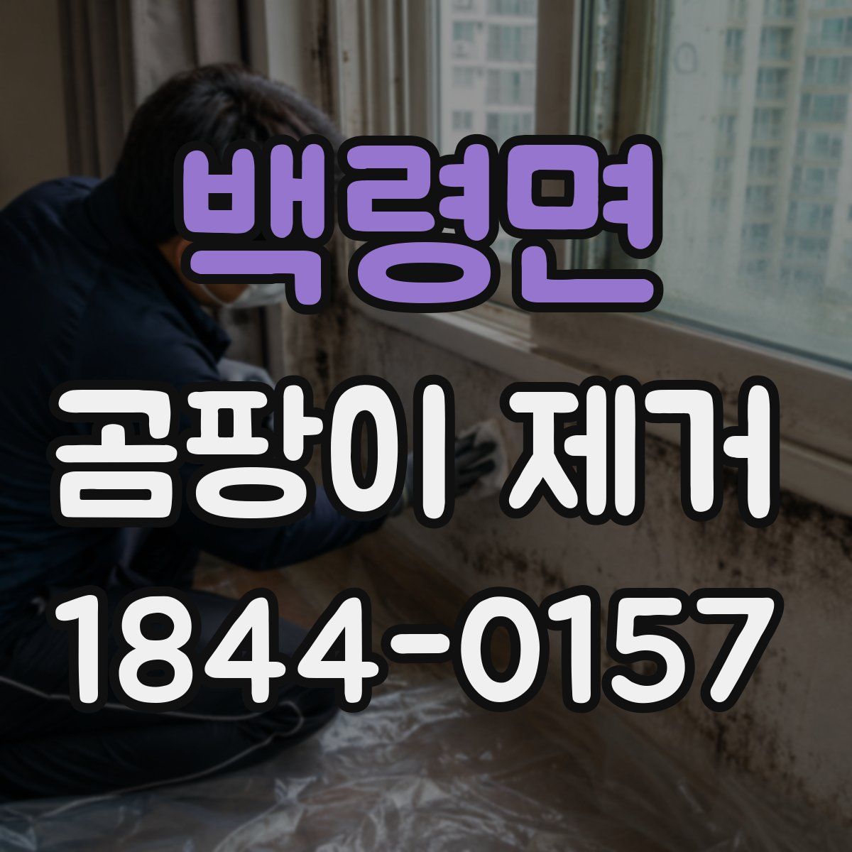 백령면 곰팡이 제거