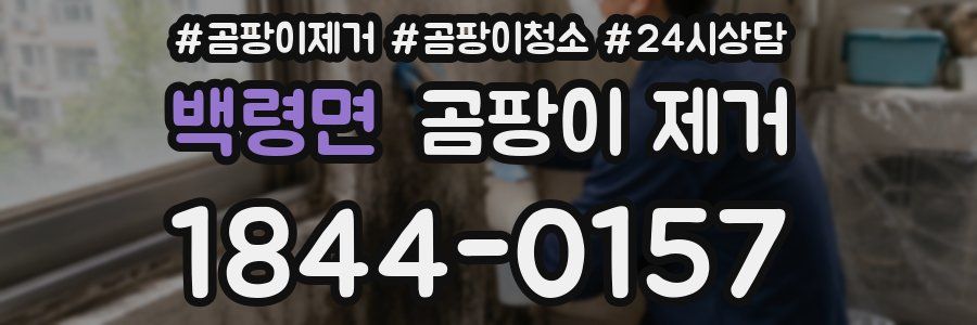 백령면 곰팡이 제거