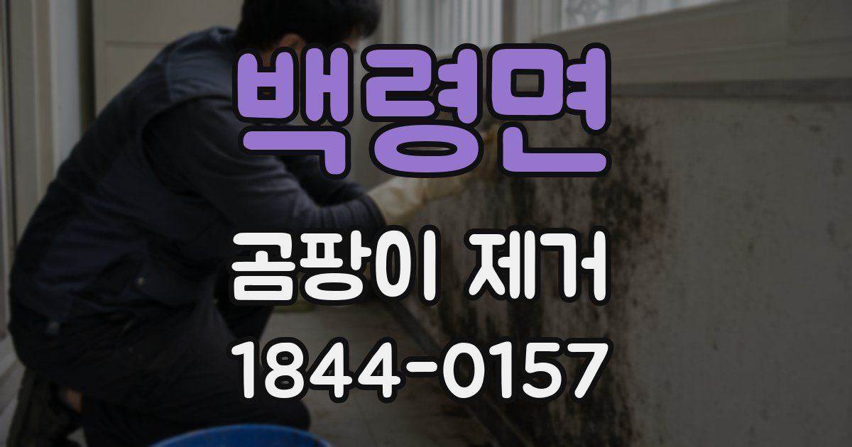 백령면 곰팡이 제거