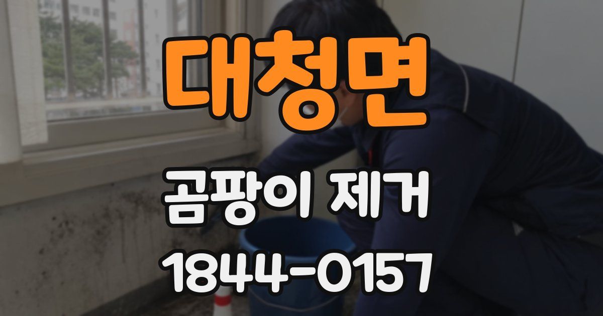 대청면 곰팡이 제거