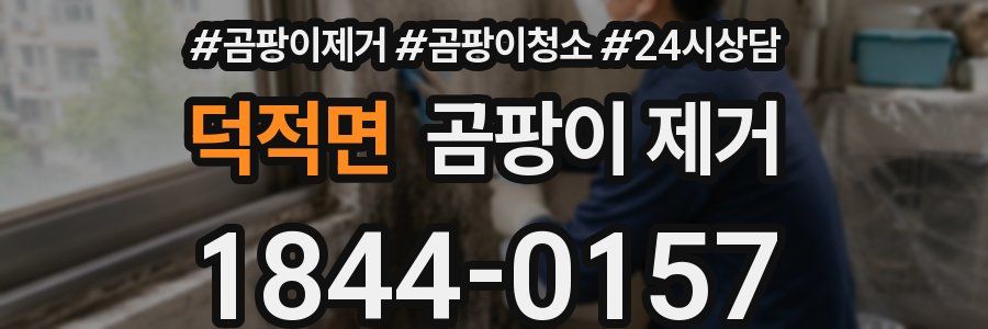 덕적면 곰팡이 제거