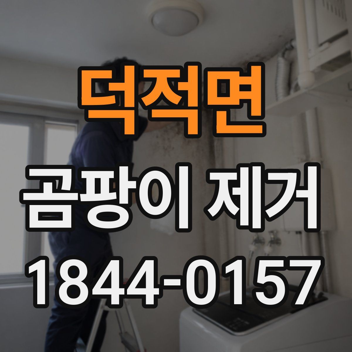 덕적면 곰팡이 제거