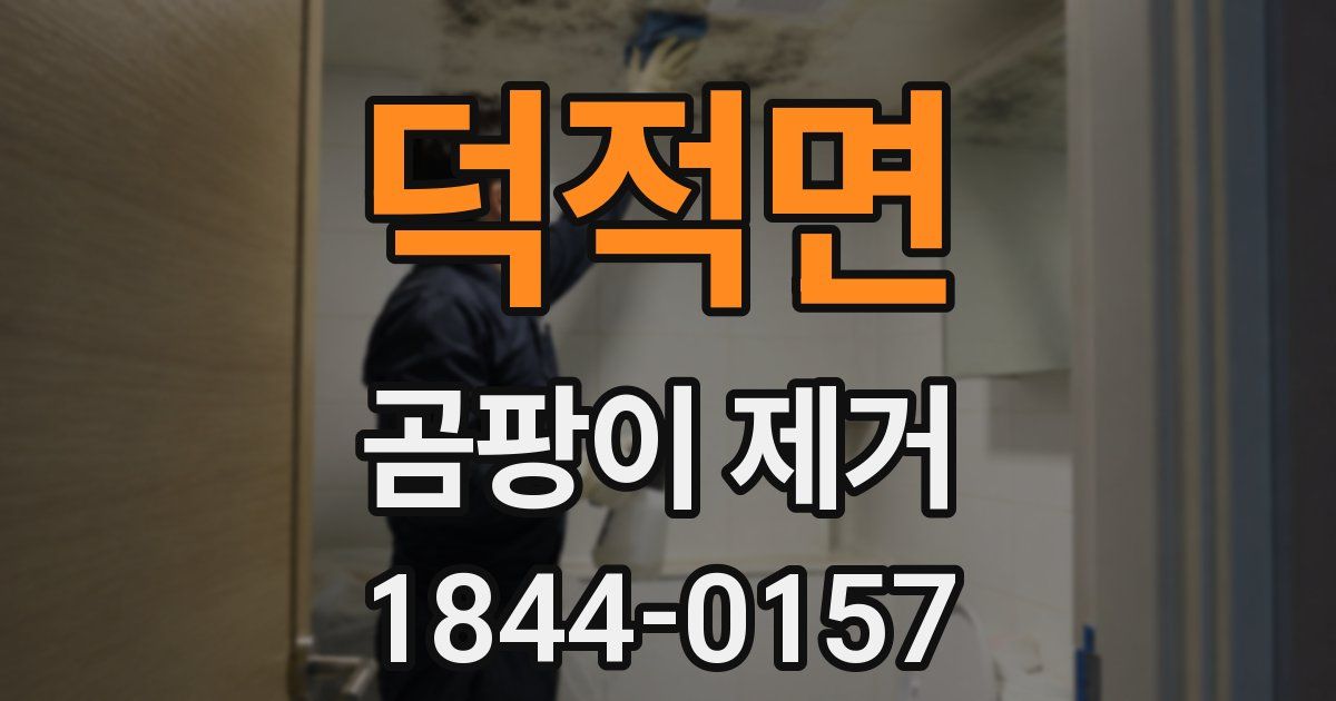 덕적면 곰팡이 제거