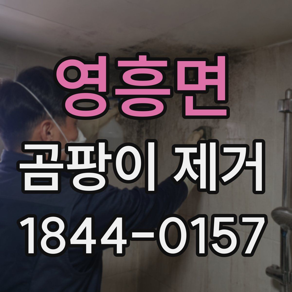 영흥면 곰팡이 제거
