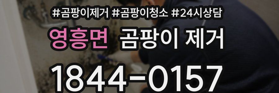 영흥면 곰팡이 제거