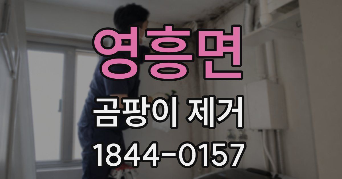 영흥면 곰팡이 제거