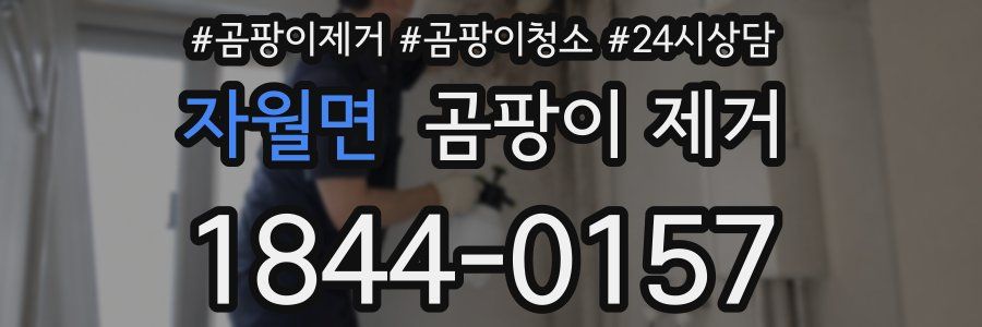 자월면 곰팡이 제거