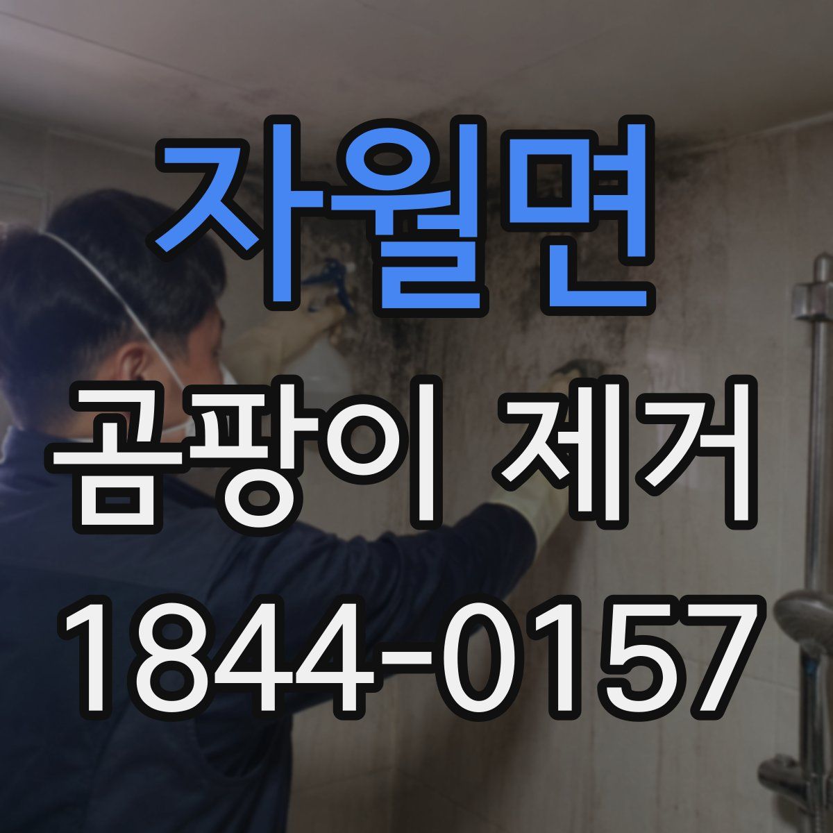 자월면 곰팡이 제거