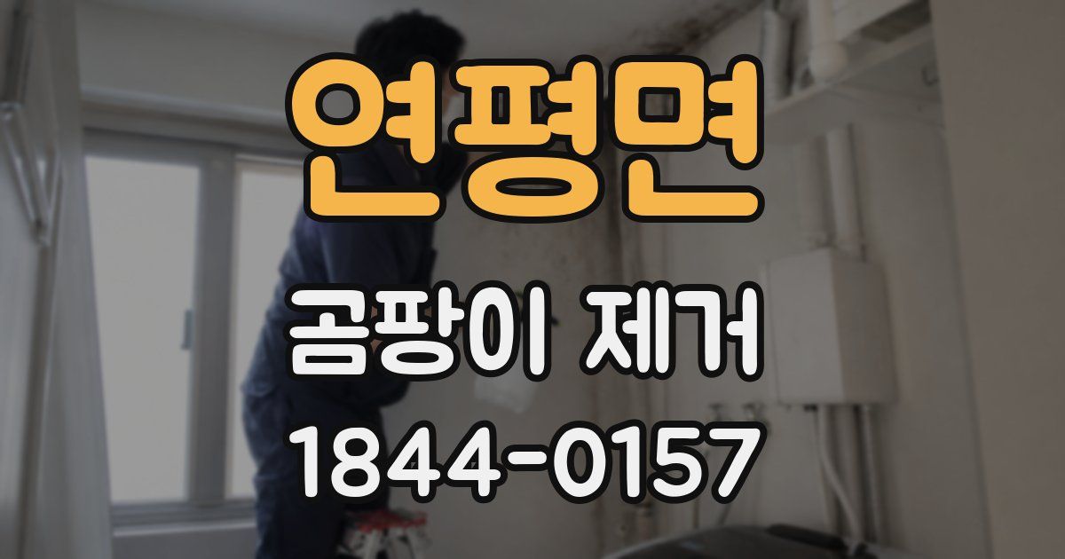 연평면 곰팡이 제거