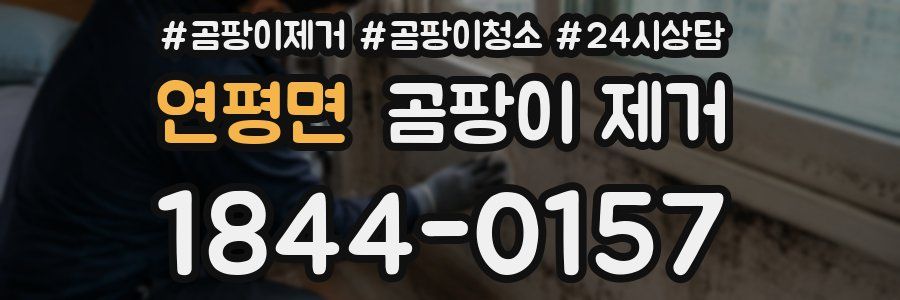 연평면 곰팡이 제거