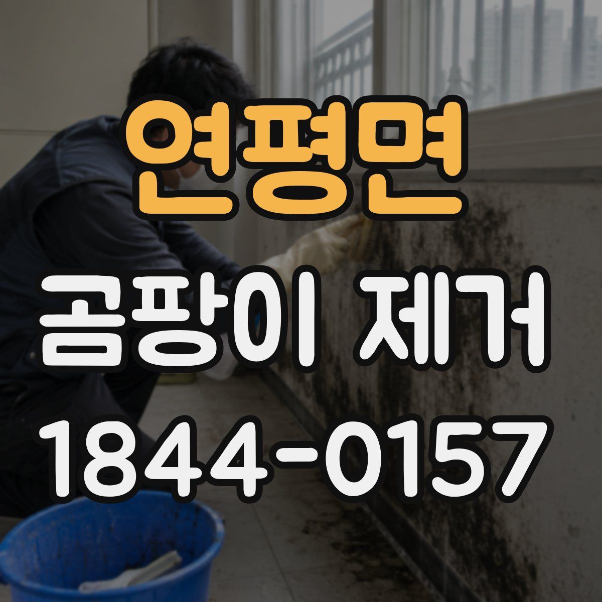 연평면 곰팡이 제거