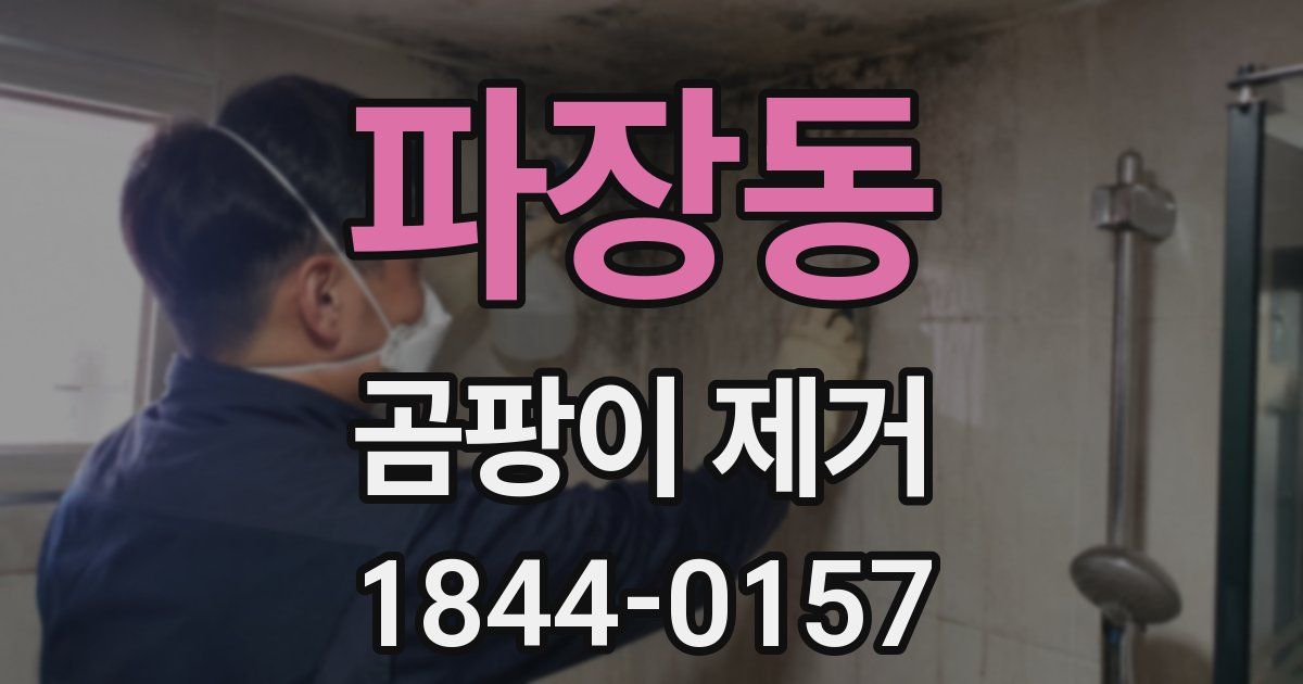 파장동 곰팡이 제거