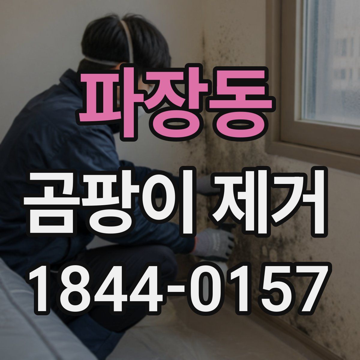 파장동 곰팡이 제거