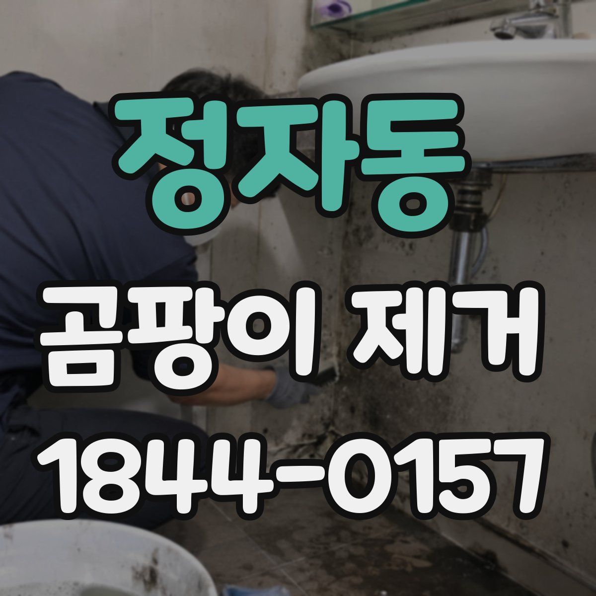 정자동 곰팡이 제거