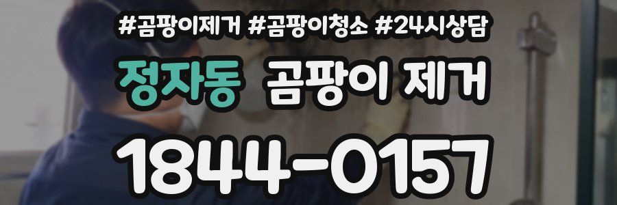 정자동 곰팡이 제거