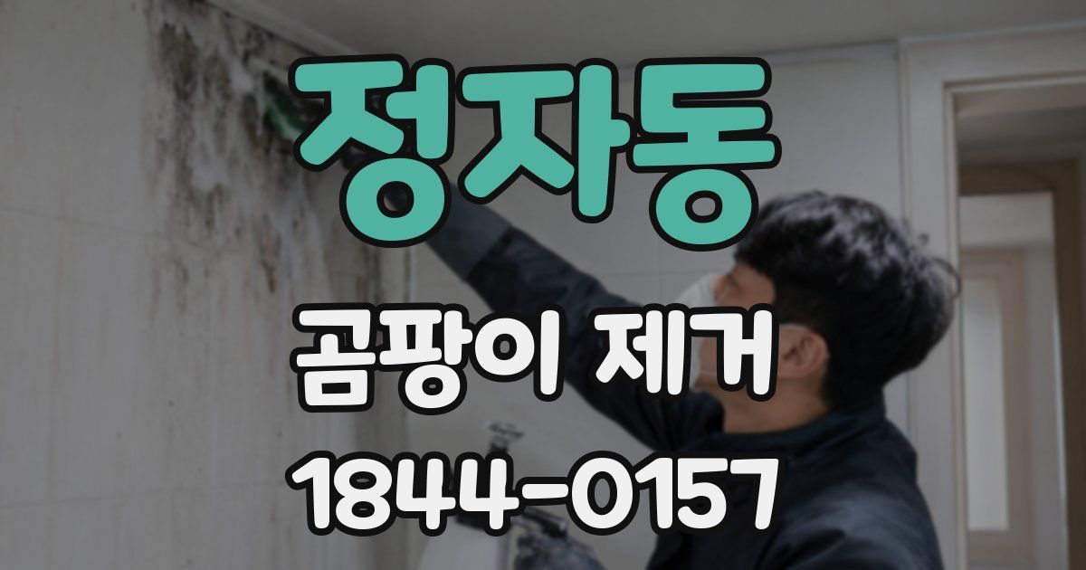 정자동 곰팡이 제거