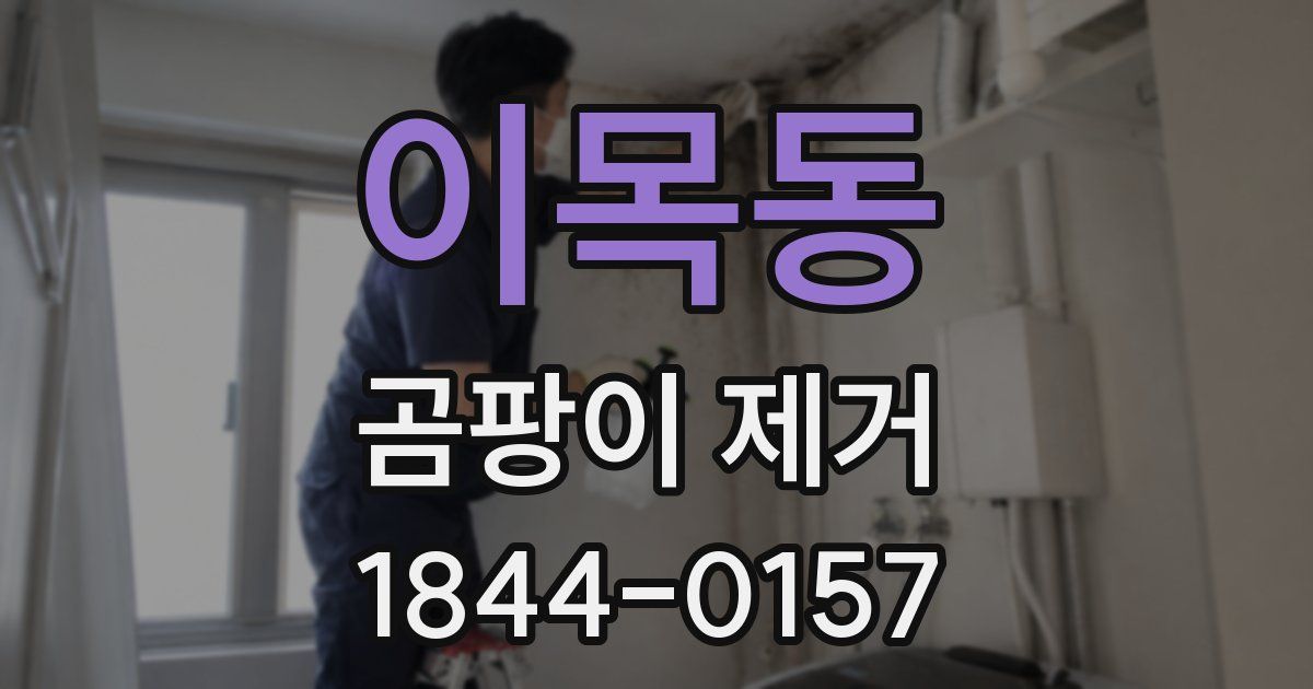이목동 곰팡이 제거