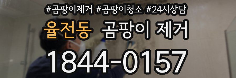 율전동 곰팡이 제거