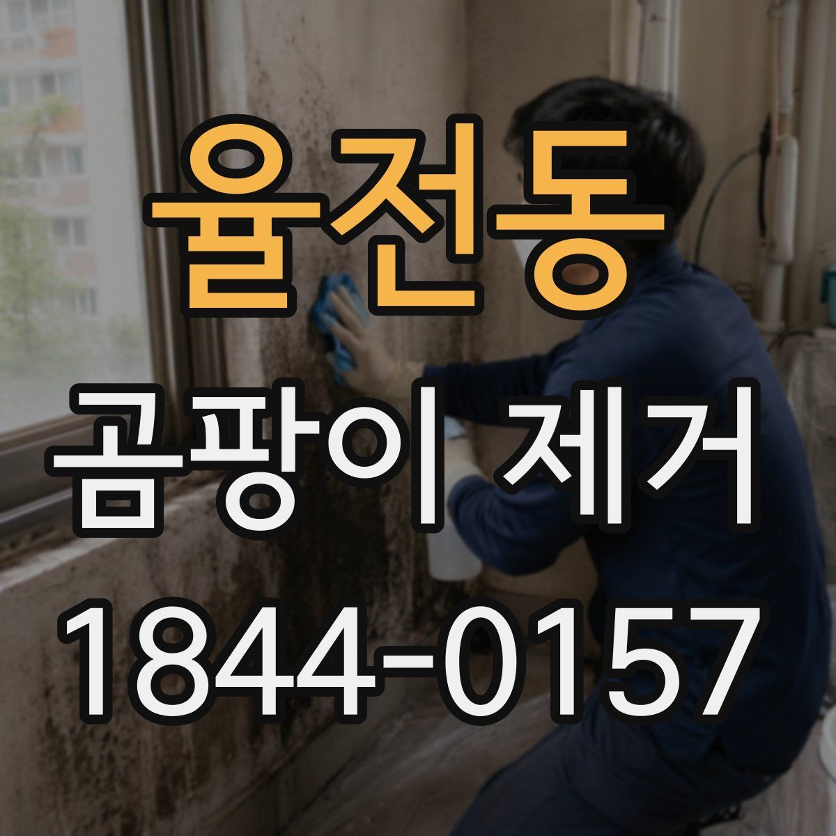 율전동 곰팡이 제거