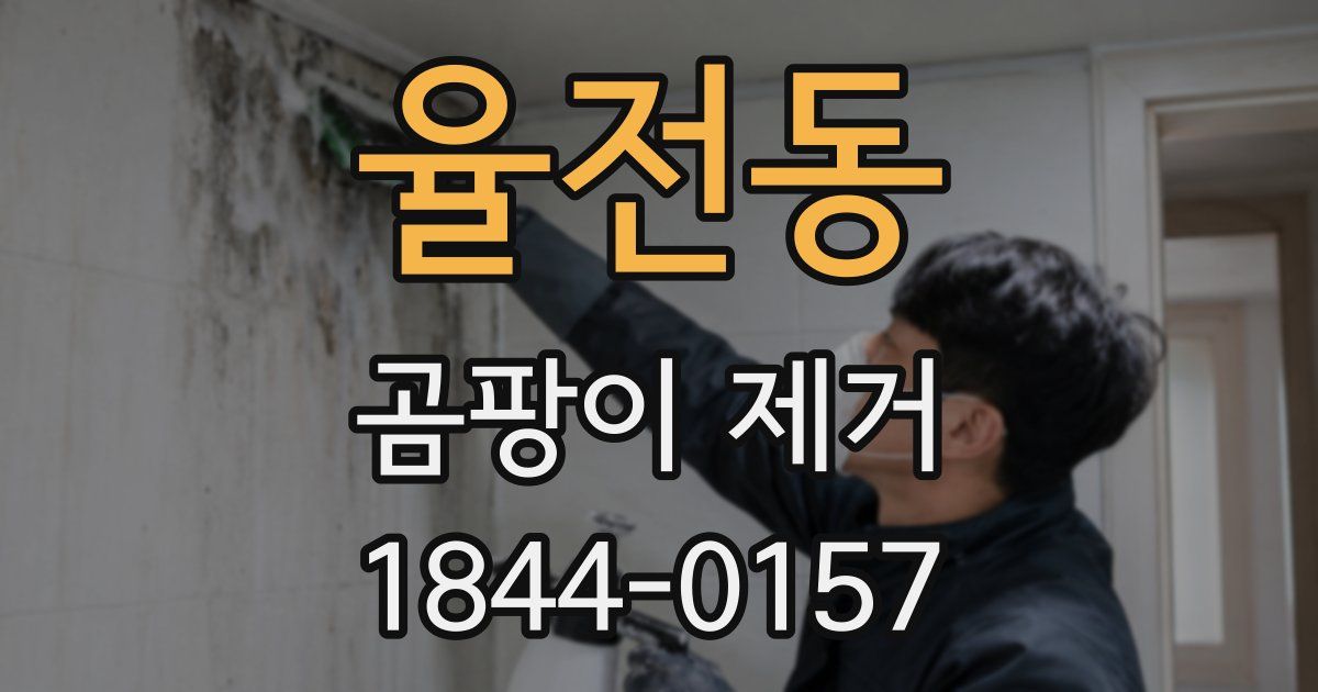 율전동 곰팡이 제거