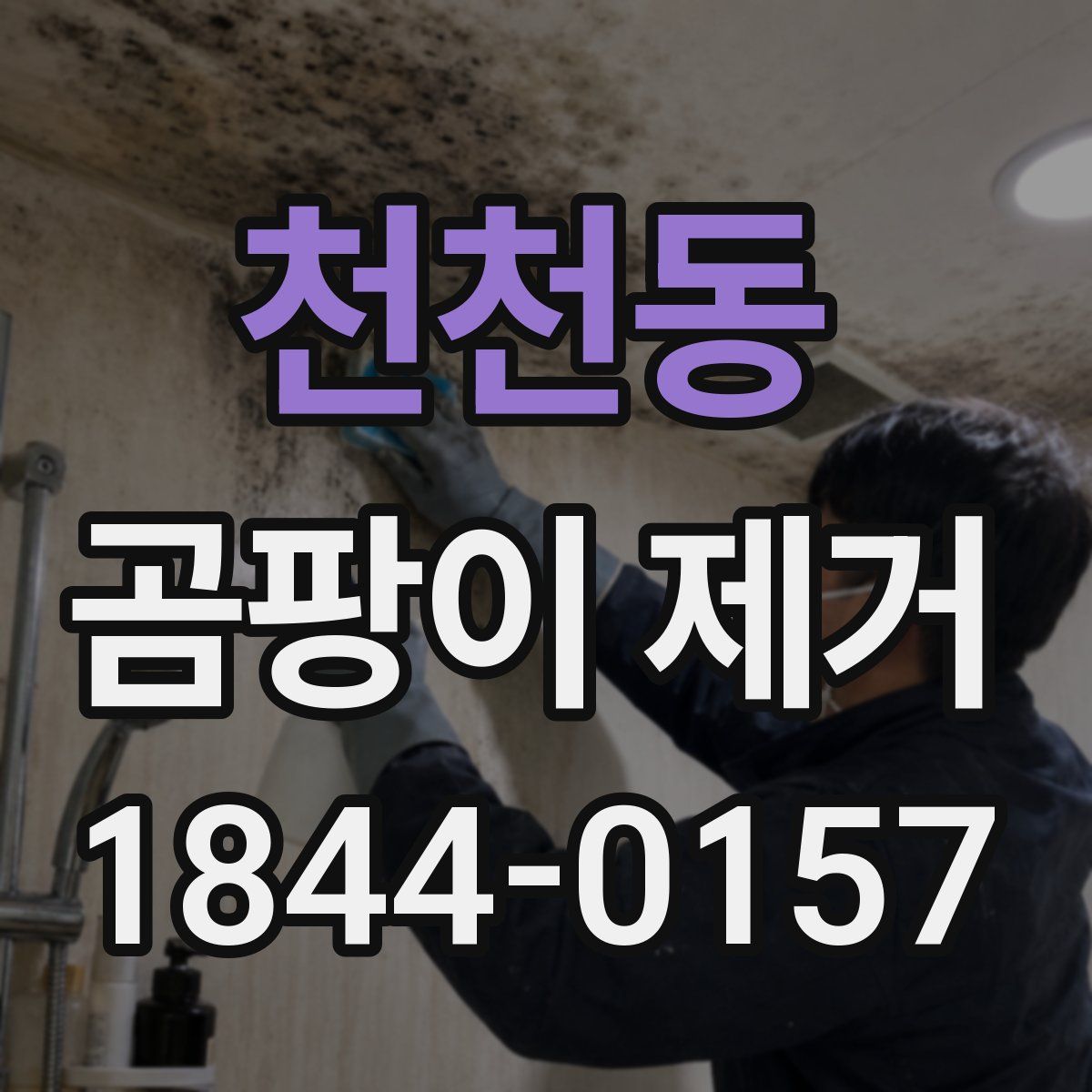 천천동 곰팡이 제거