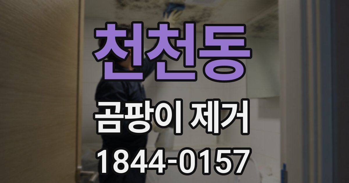 천천동 곰팡이 제거