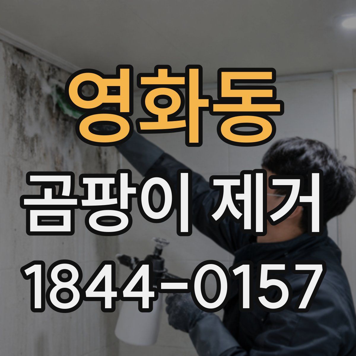 영화동 곰팡이 제거