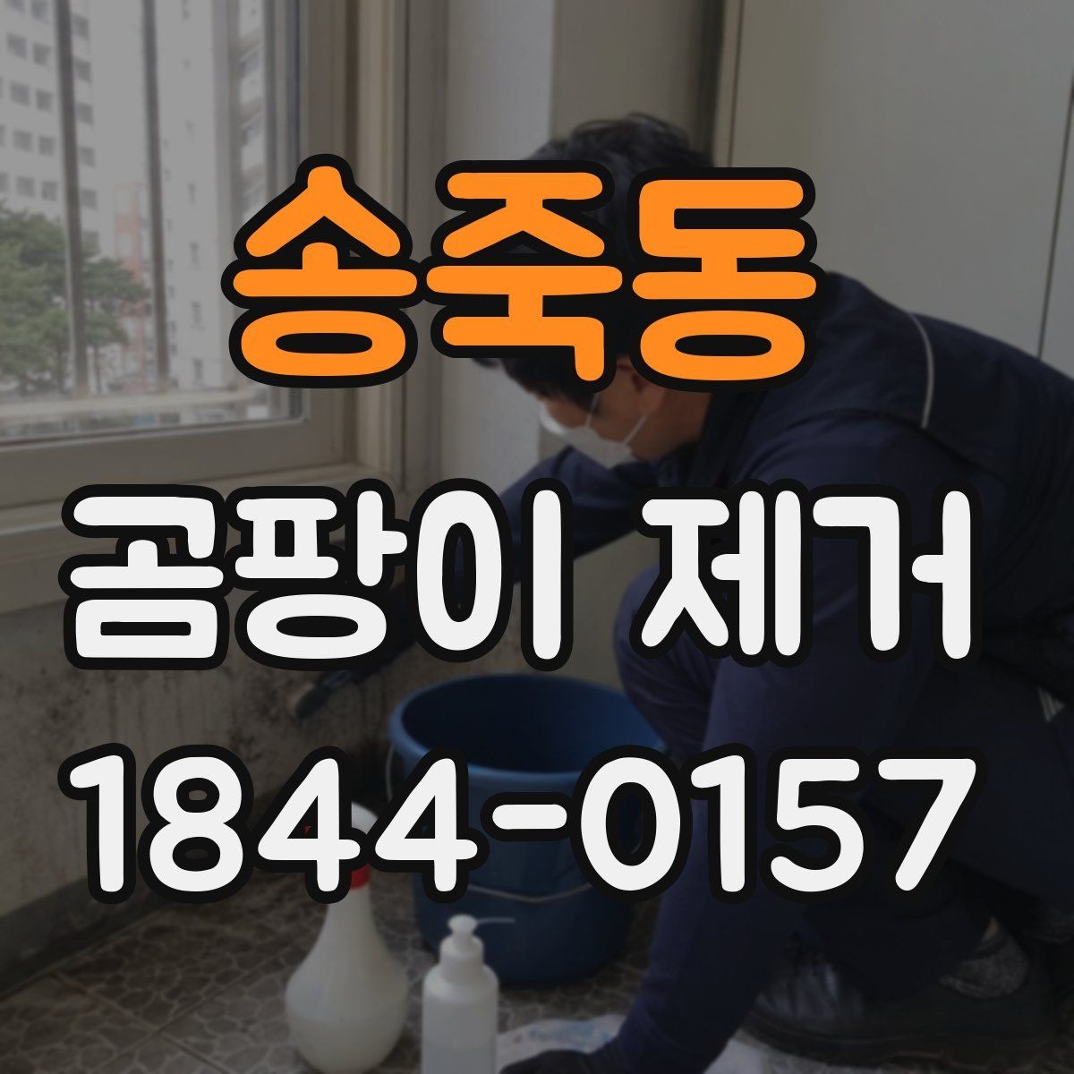 송죽동 곰팡이 제거 안전수칙과 마스크 준비가 필요한 이유