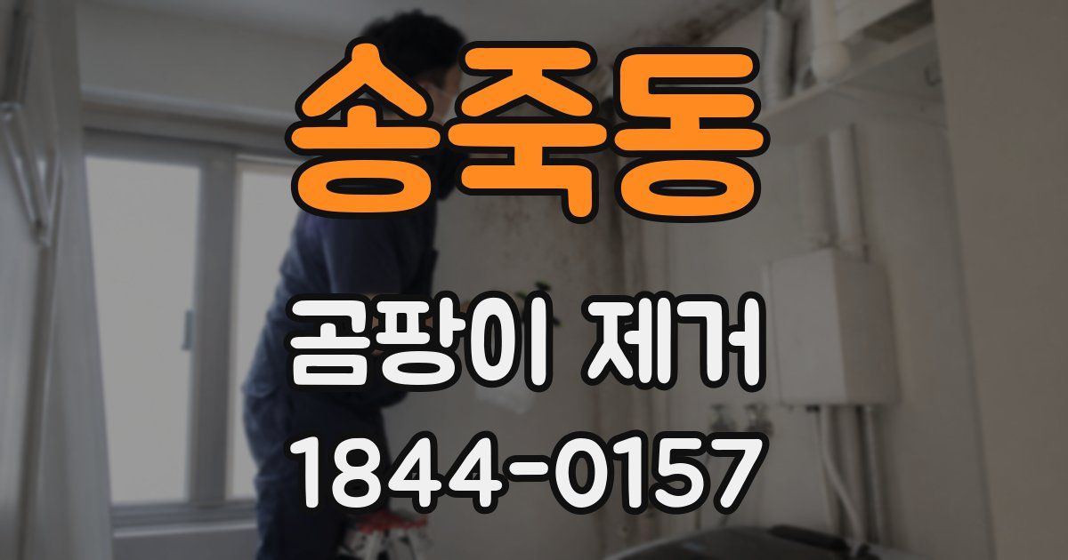 송죽동 곰팡이 제거