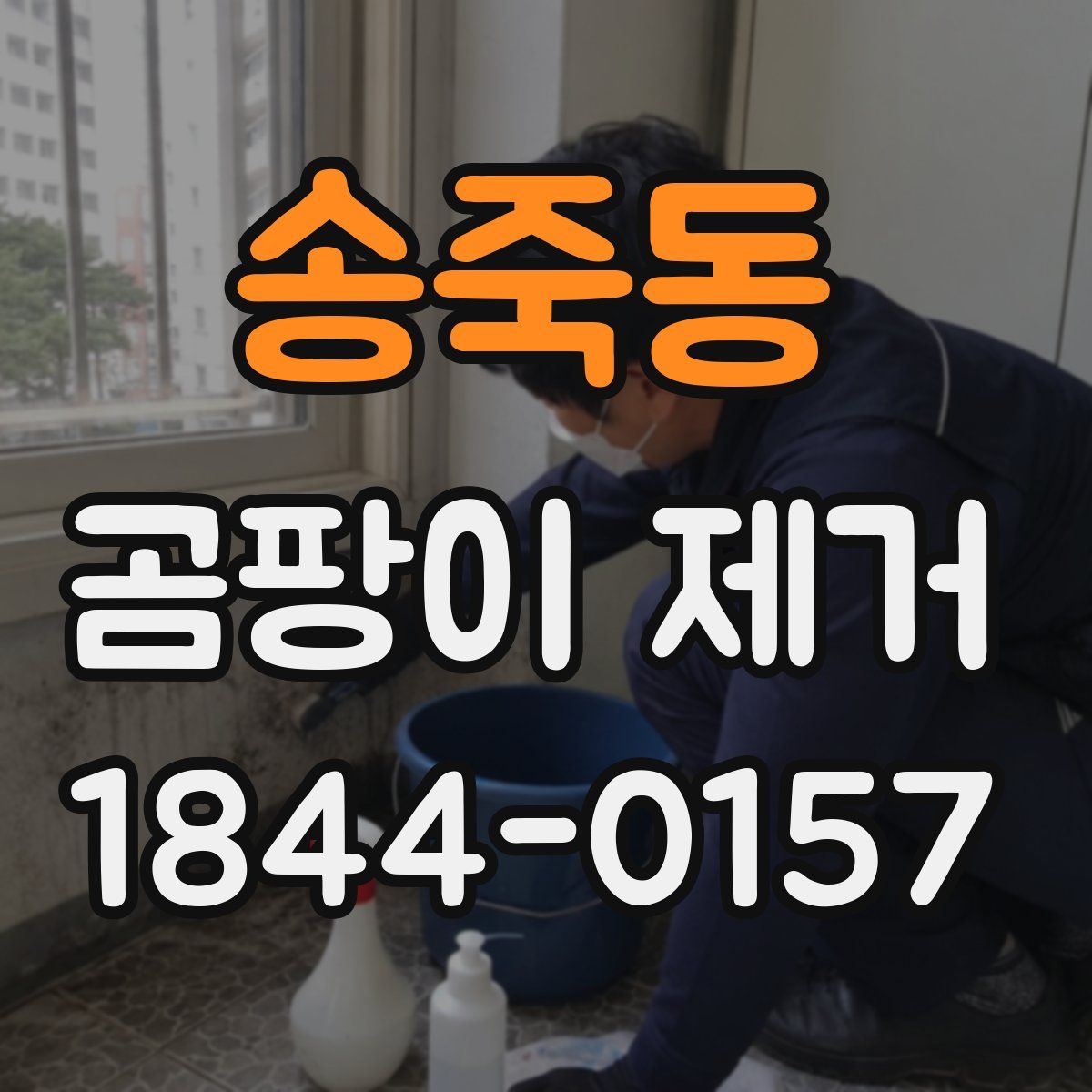 송죽동 곰팡이 제거